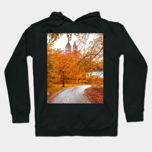 Central Park Fall 5 Hoodie